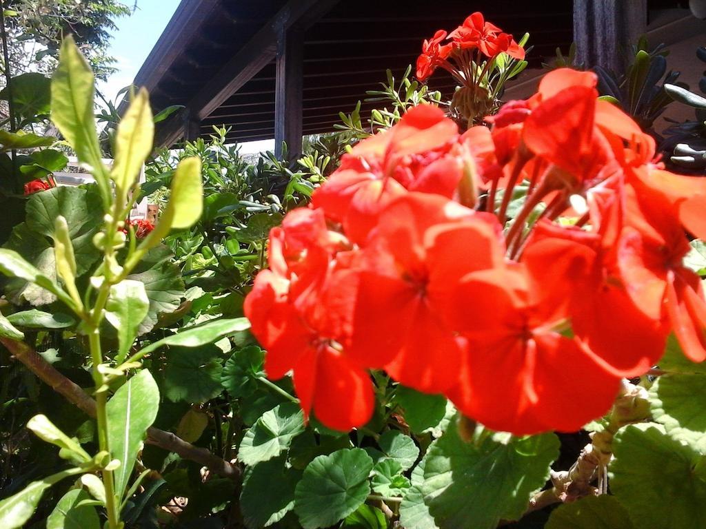 Nonnasara Bed And Breakfast Valderice Zewnętrze zdjęcie